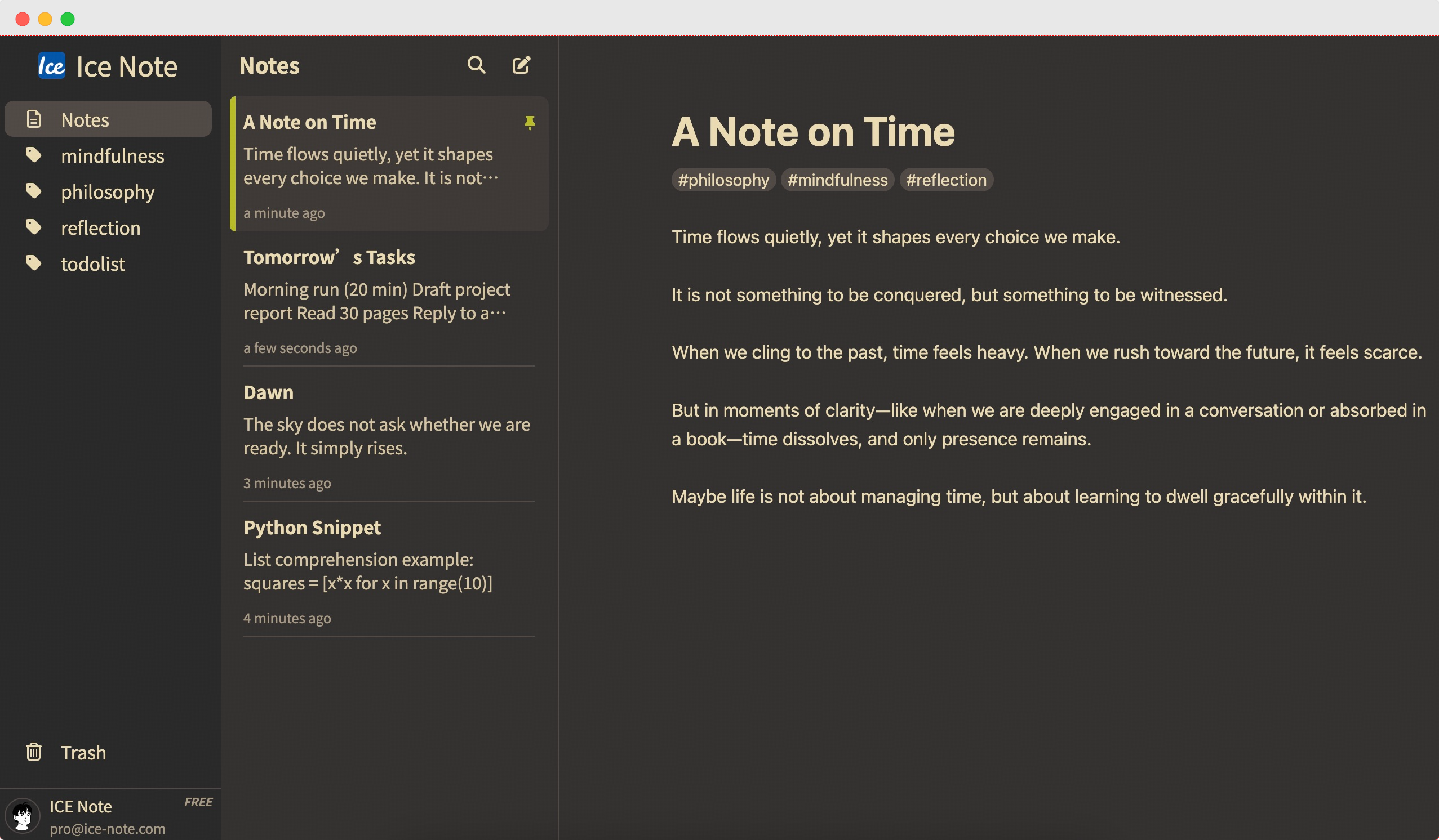 Ice Note Beautiful Dark Theme Interface